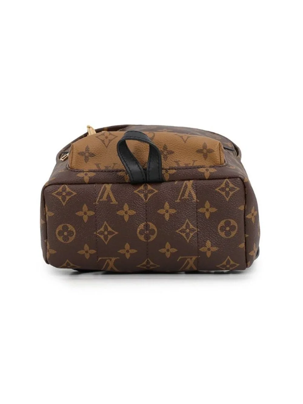 Louis Vuitton Backpack Monogram Reverse Palm Springs PM Black